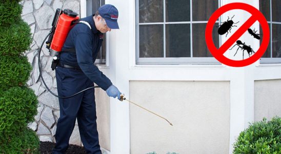 Evka 4 Haşere İlaçlama böcek ilaçlama ve haşere kontrolü — ilaclama-tr.com